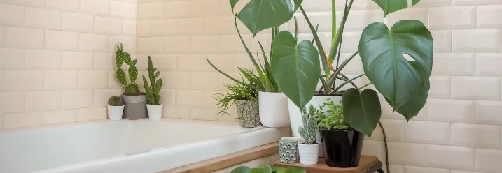 Badezimmer mit vielen Pflanzen